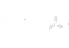 Cosmo Play